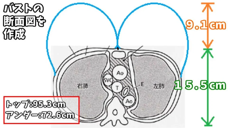Someone measured Komi-san's breasts