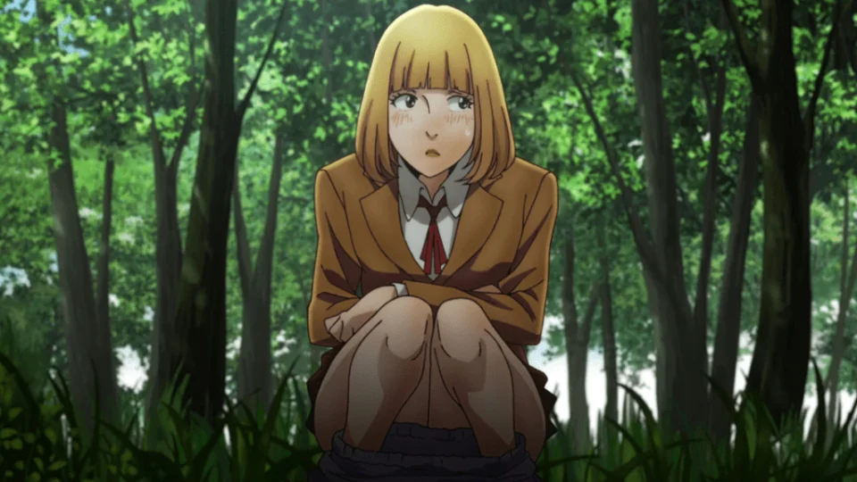 Anime that were canceled before they could finish
