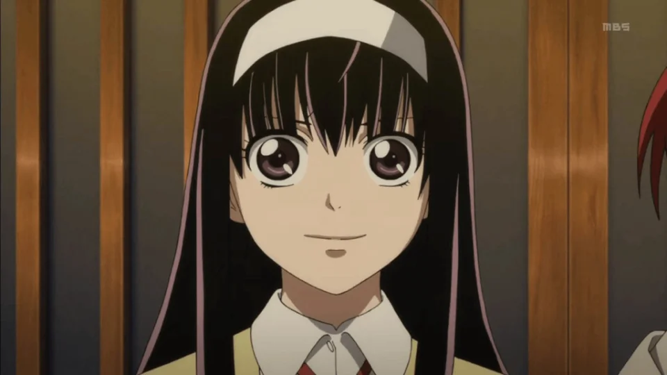 Anime that were canceled before they could finish