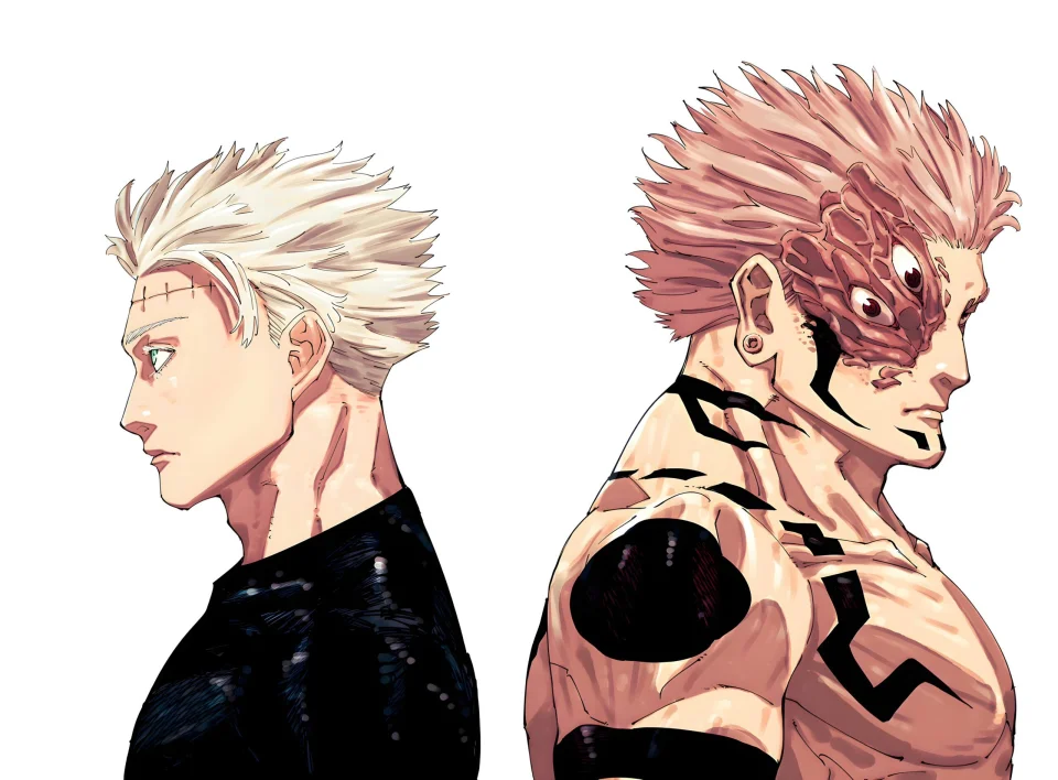 Jujutsu Kaisen could extend its suspension