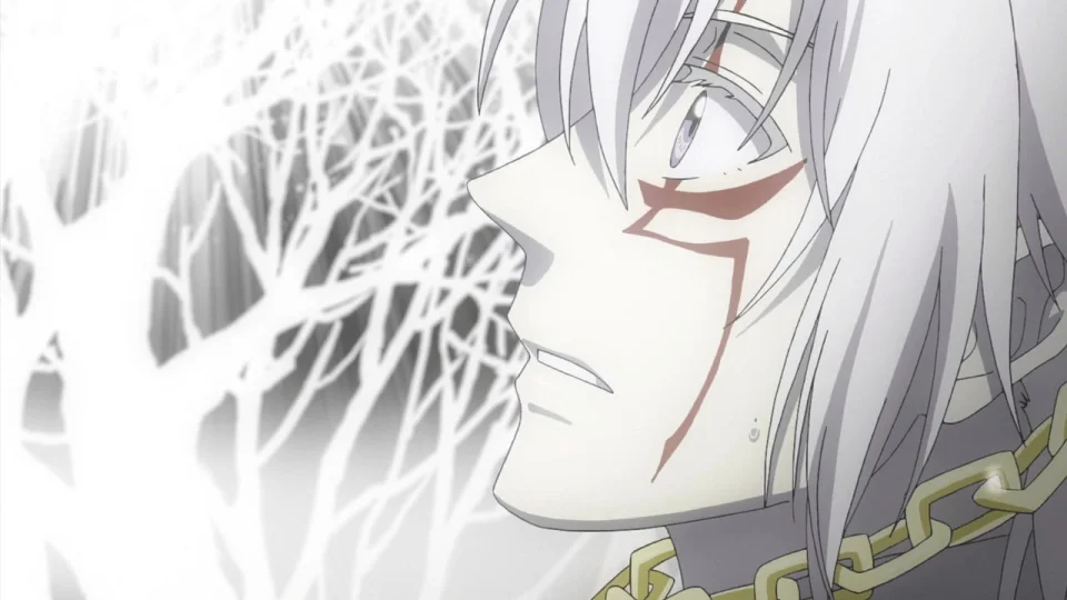 What the hell happened to D.Gray-man?