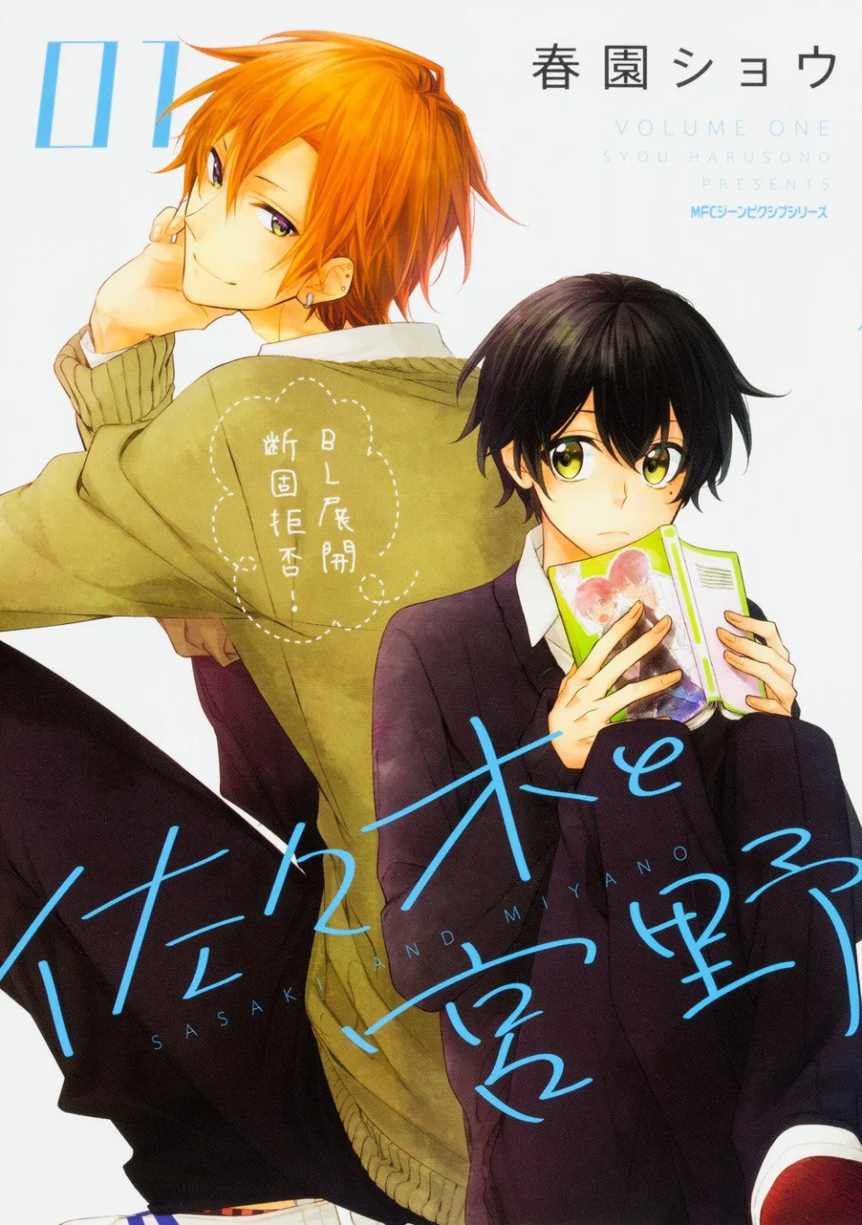 U.S. bans popular yaoi manga