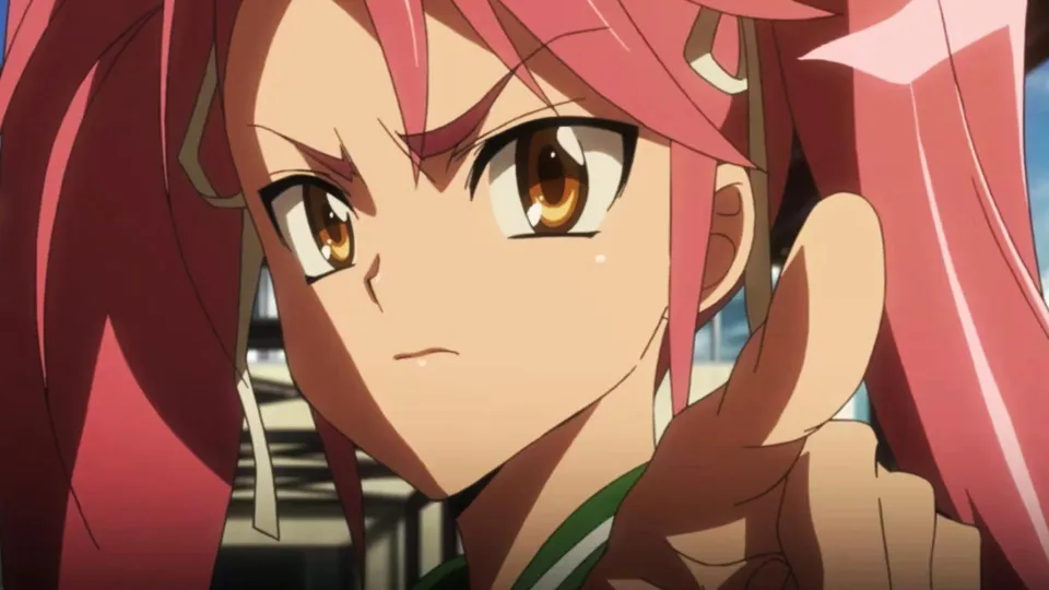 Anime that were canceled before they could finish