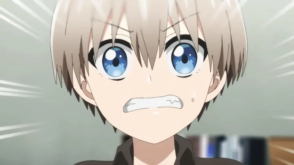 Animeflix, the popular pirate anime site, falls