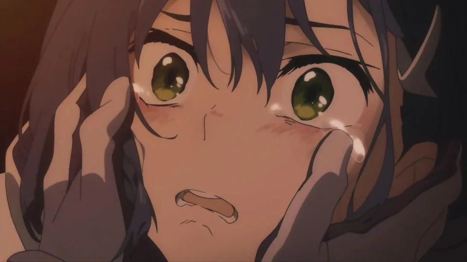 Otakus Discuss the Anime That Made Them Cry