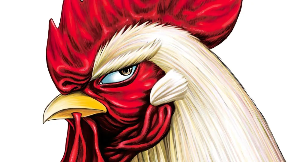 The popular Rooster Fighter would have an anime