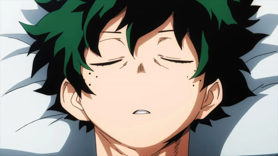 They debate whether Boku no Hero Academia is in decline